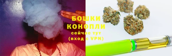 СК Гусев